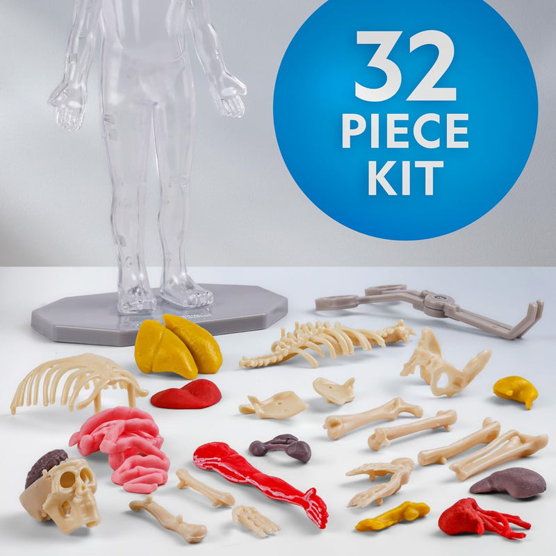 National Geographic Glow-in-the-Dark Human Body