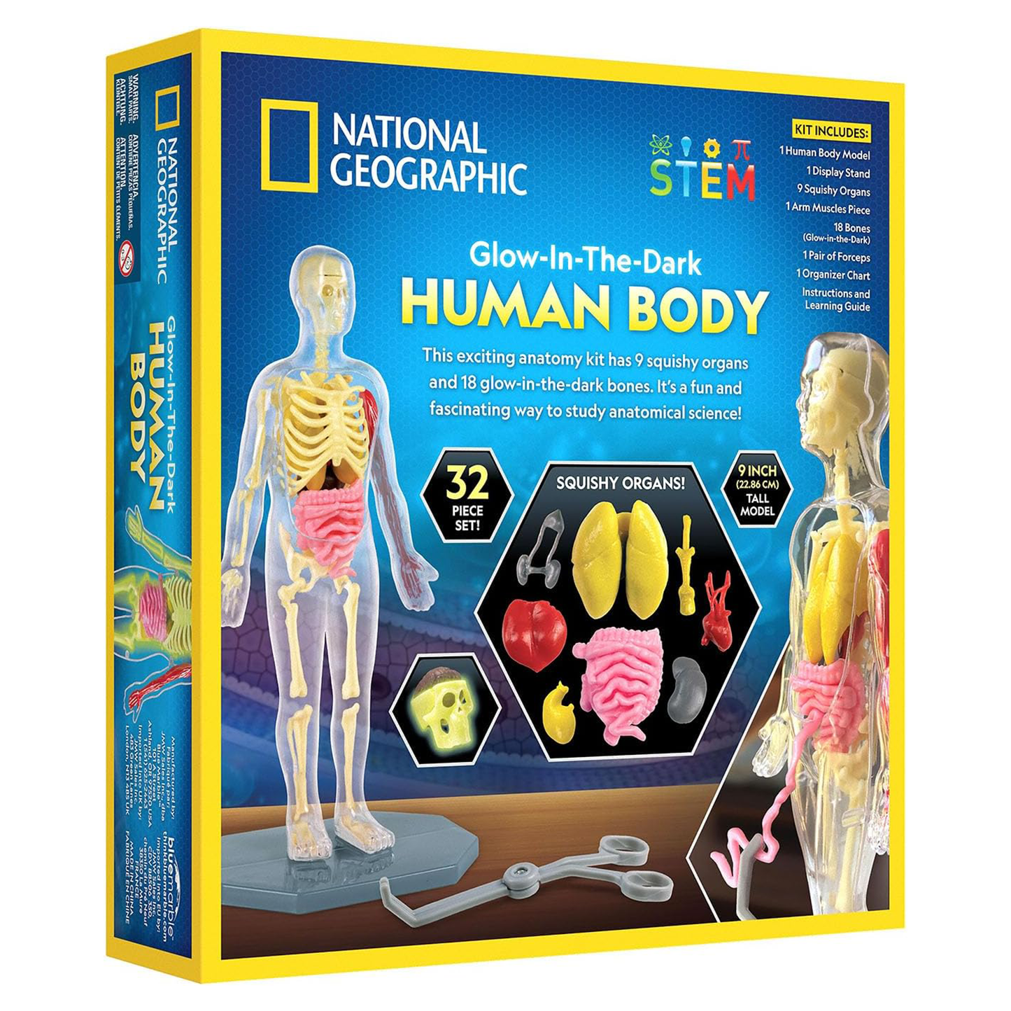 National Geographic Glow-in-the-Dark Human Body