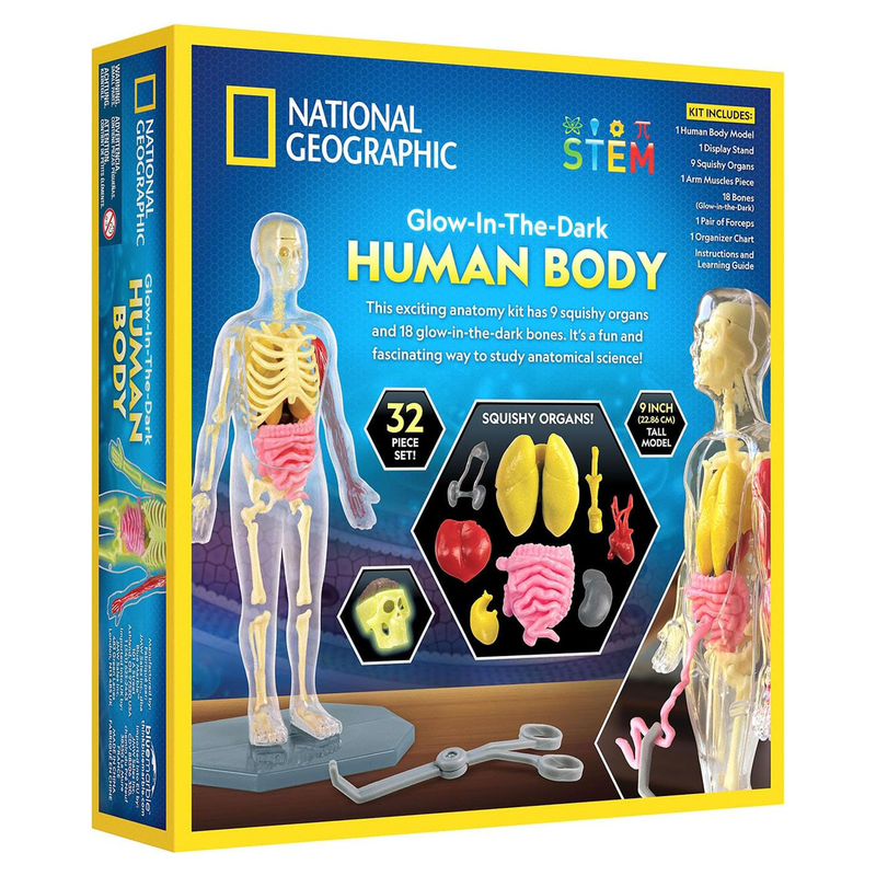National Geographic Glow-in-the-Dark Human Body